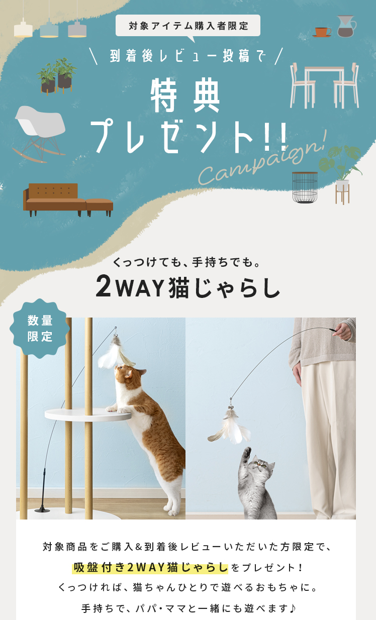 猫じゃらしプレゼントキャンペーン