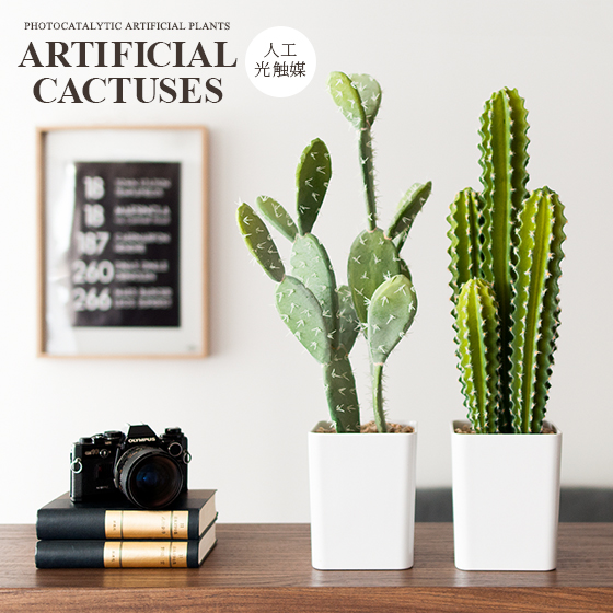 人工多肉植物 Artificial Cactuses アーティフィシャル カクタシーズ 北欧インテリア 家具の通販エア リゾーム