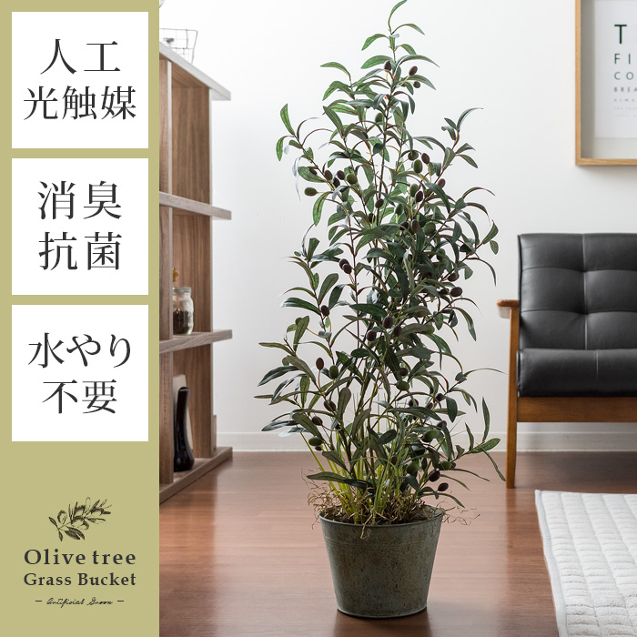 人工観葉植物 Olive tree Grass Bucket(オリーブツリーグラス