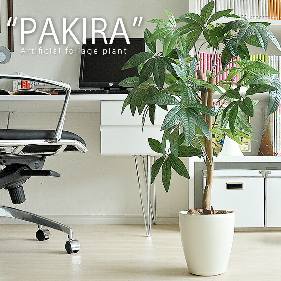 光触媒人工観葉植物パキラ | エアリゾーム【公式】 家具・インテリア通販